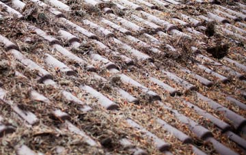 Saham Toney roof cleaning companies